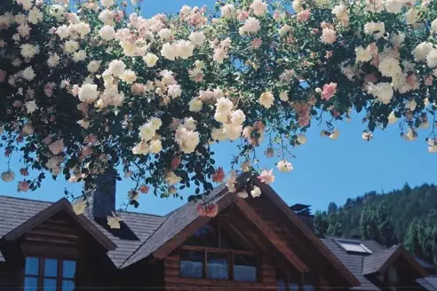 http://www.tuozhen.comhttp://tuozhen.oss-cn-hangzhou.aliyuncs.com/attached/image/20151029/20151029104514_491.png