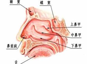 鼻孔流脓