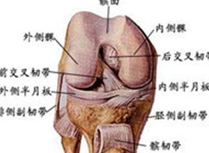 髌后捻发音