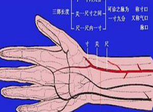 促脉