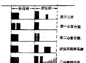 “多音律”心音