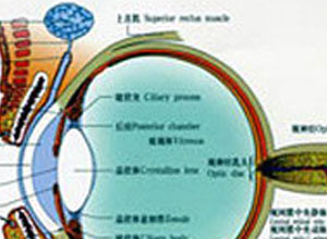 读小字和辨色困难