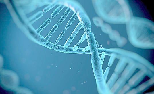 科學家嘗試用基因編輯技術挽救生命