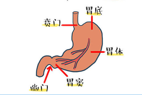 胃窦血管扩张症，怎么失血这么多