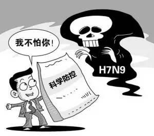 12月全国人感染H7N9禽流感达106例，死亡20人！