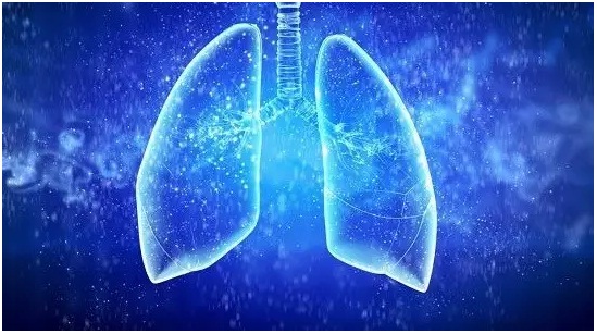 世界防治结核病日即将到來 您了解肺结核么？
