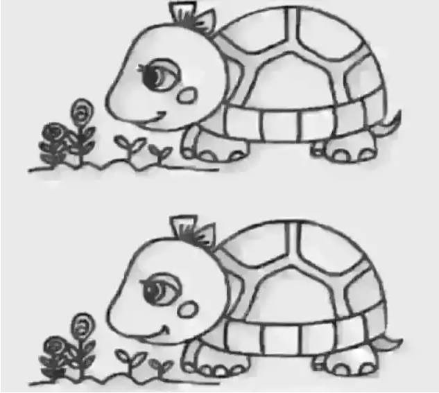 心理测试，两只乌龟哪里不一样？_拓诊卫生资讯