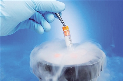 冷冻胚胎会不会过期？ 被唤醒的冷冻胚胎健不健康？