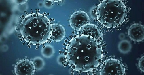 北京市今年已报告7例禽流感病例 预防禽流感的6个方法