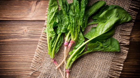 补血吃什么呢？女性补血需注意这些误区！