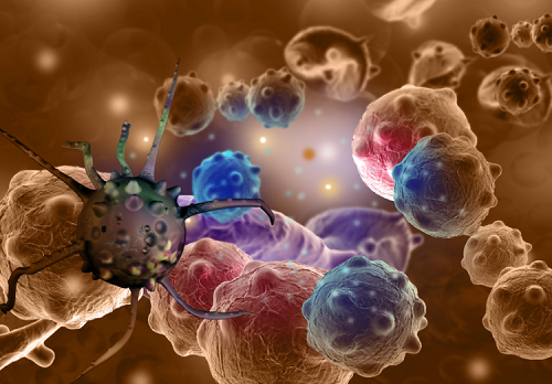 我国建成国际规模最大癌症激酶靶点细胞筛选库