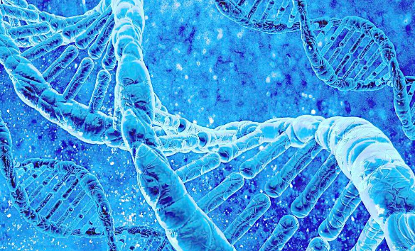 癌细胞笼络DNA