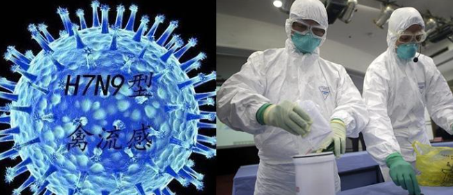 全国H7N94月报告发病81例