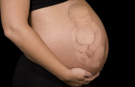 吃什么能快速怀孕 几种比较常见的助孕食物