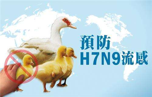 中国内地7天报告H7N9病例12例 疫情趋于平稳