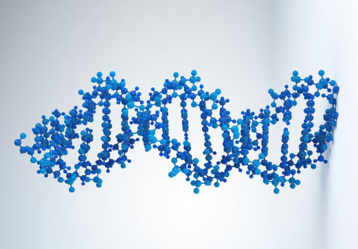 “CRISPR导致基因突变”研究结论有错？
