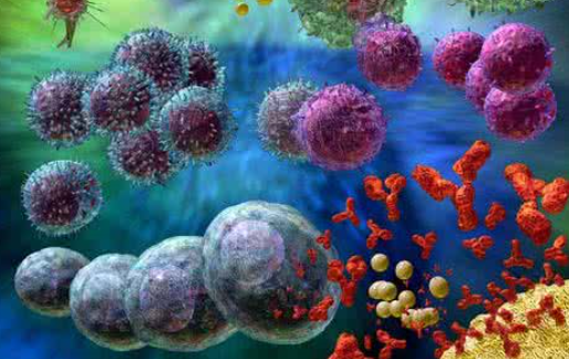 以患者每个肿瘤的屏障蛋白为标靶被视作免疫疗法成功的关键