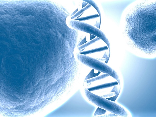 基因突变让男性长寿十年