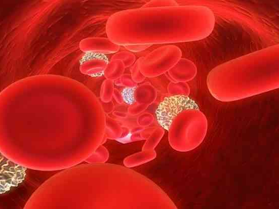 缺铁性贫血要重视 中医如何治疗缺铁性贫血