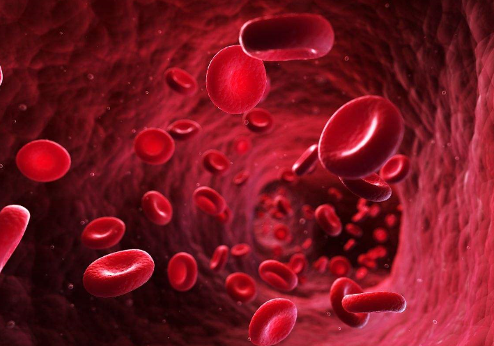 科学家发现控制红细胞成熟关键机制