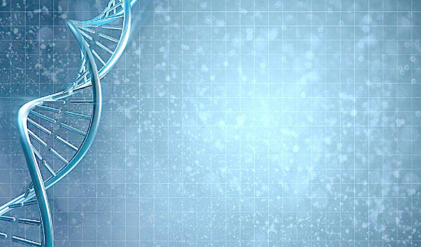 单独检测DNA或蛋白质能获得更好的效果