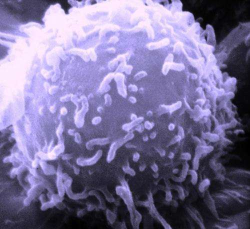 研究发现能够有效“饿死”癌细胞的天然分子！_拓诊卫生资讯
