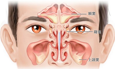 鼻子总发炎，可能是鼻中隔在捣乱_拓诊卫生资讯
