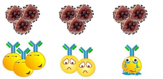 艾滋病疫苗又有新靶点 广泛中和抗体VRC26能消灭HIV