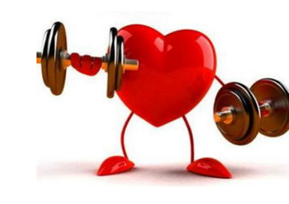 抑制特定蛋白表达有助维持心脏功能