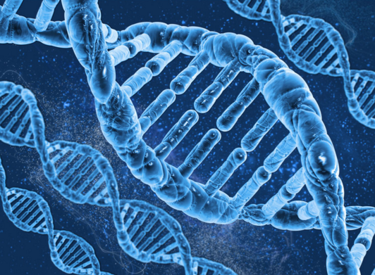 DNA“变身”合成化学物质平台