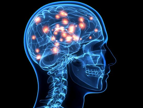 新研究称人脑通过脑内淋巴管“排污”